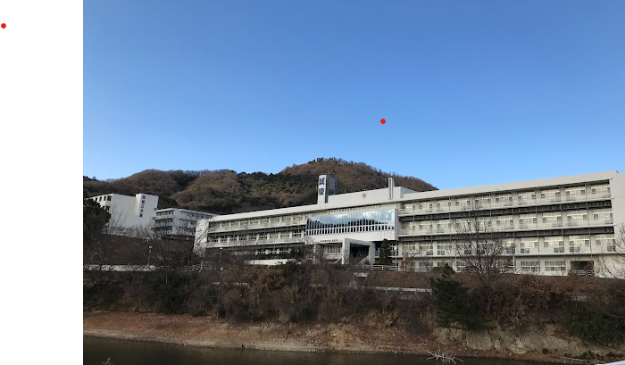 出身高校：香川誠陵中・高等学校